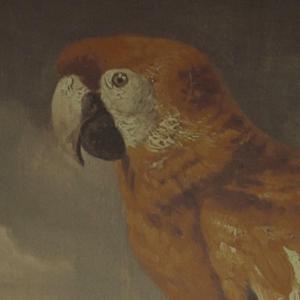 被蟒蛇玩弄尿喷H肉倒刺动漫男男
